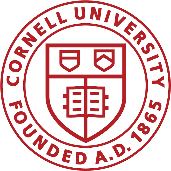 Terri Bailey received a certificate in User Experience (UX) from Cornell