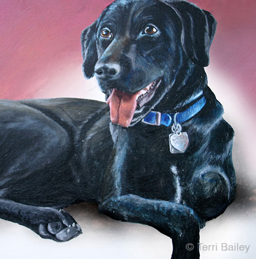 Portrait of Sasha the Black Labrador Retriever painted with acrylics