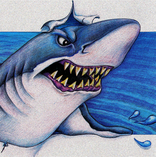 Mean looking marketing shark illustrated with colored pencils