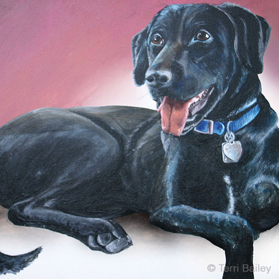 Acrylic painting of Sasha the Black Labrador Retriever against a pink background, painted by Terri Bailey